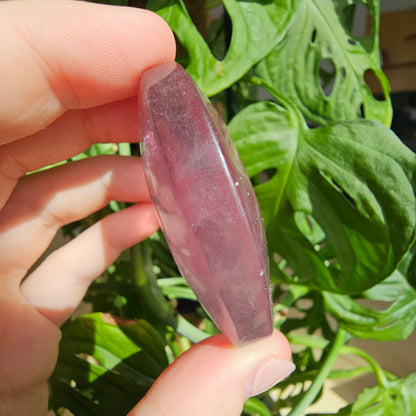 Fluorite Palmstone #14D