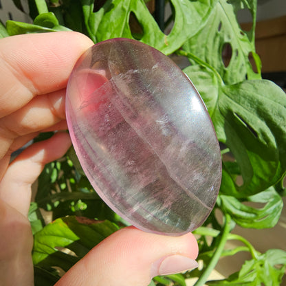 Fluorite Palmstone #14D