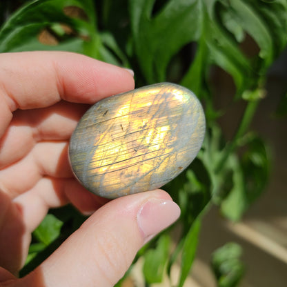 Labradorite Palmstone #8A