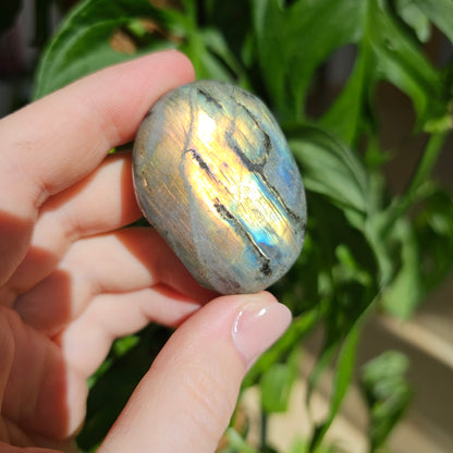 Labradorite Palmstone #8A