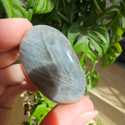 Labradorite Palmstone #8A