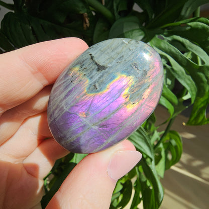 Labradorite Palmstone #12H