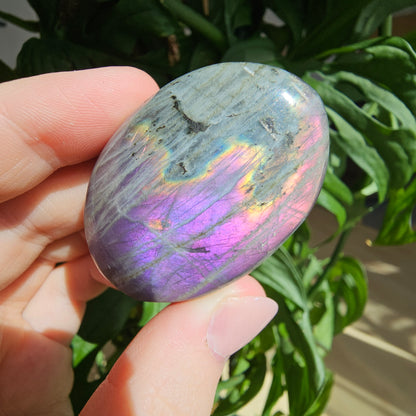 Labradorite Palmstone #12H