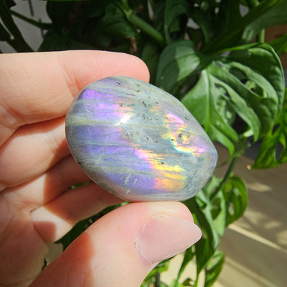 Labradorite Palmstone #12H