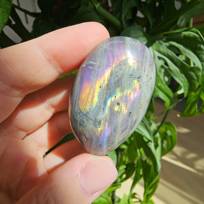 Labradorite Palmstone #12H