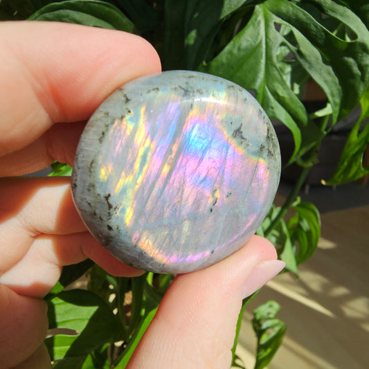 Labradorite Palmstone #10J