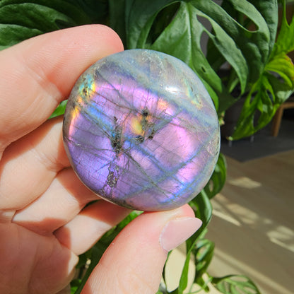 Labradorite Palmstone #10K