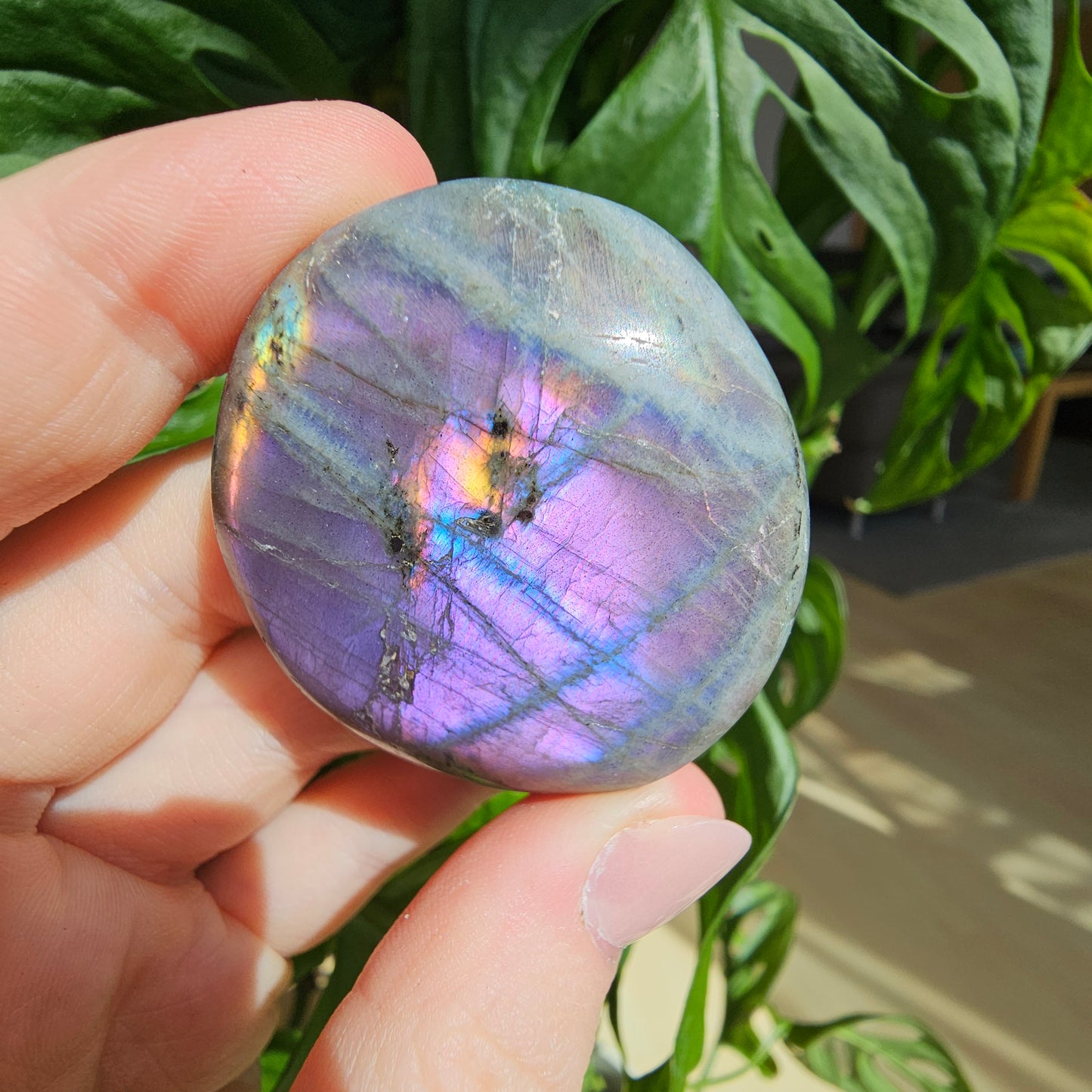 Labradorite Palmstone #10K