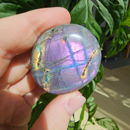 Labradorite Palmstone #10K