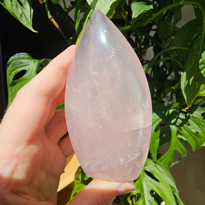 Rose Quartz Freeform #19A