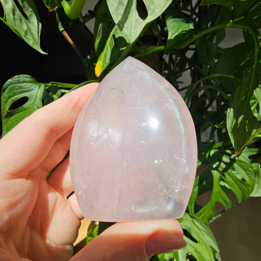 Rose Quartz Freeform #16B