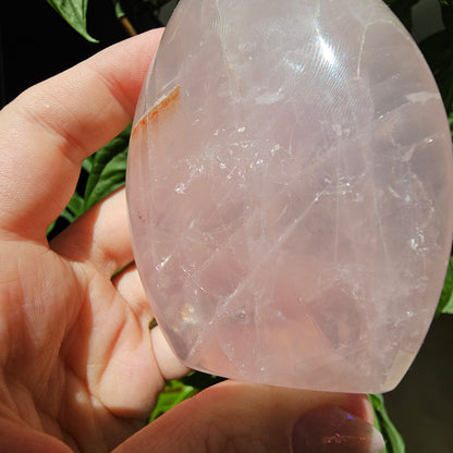 Rose Quartz Freeform #19C