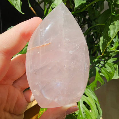 Rose Quartz Freeform #19C