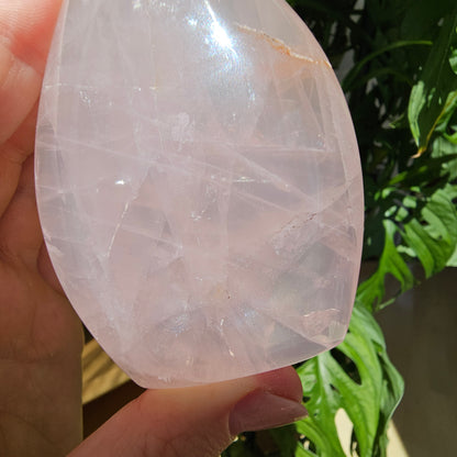 Rose Quartz Freeform #19C