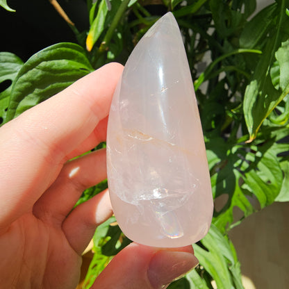 Rose Quartz Freeform #11G