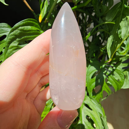 Rose Quartz Freeform #11G