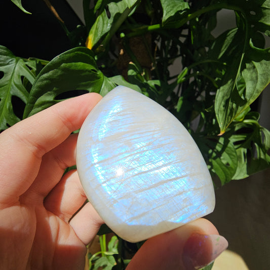 White Labradorite Freeform #27E