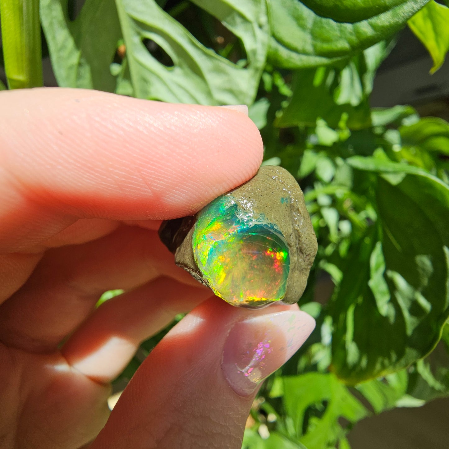 Äthiopischer Opal #49C