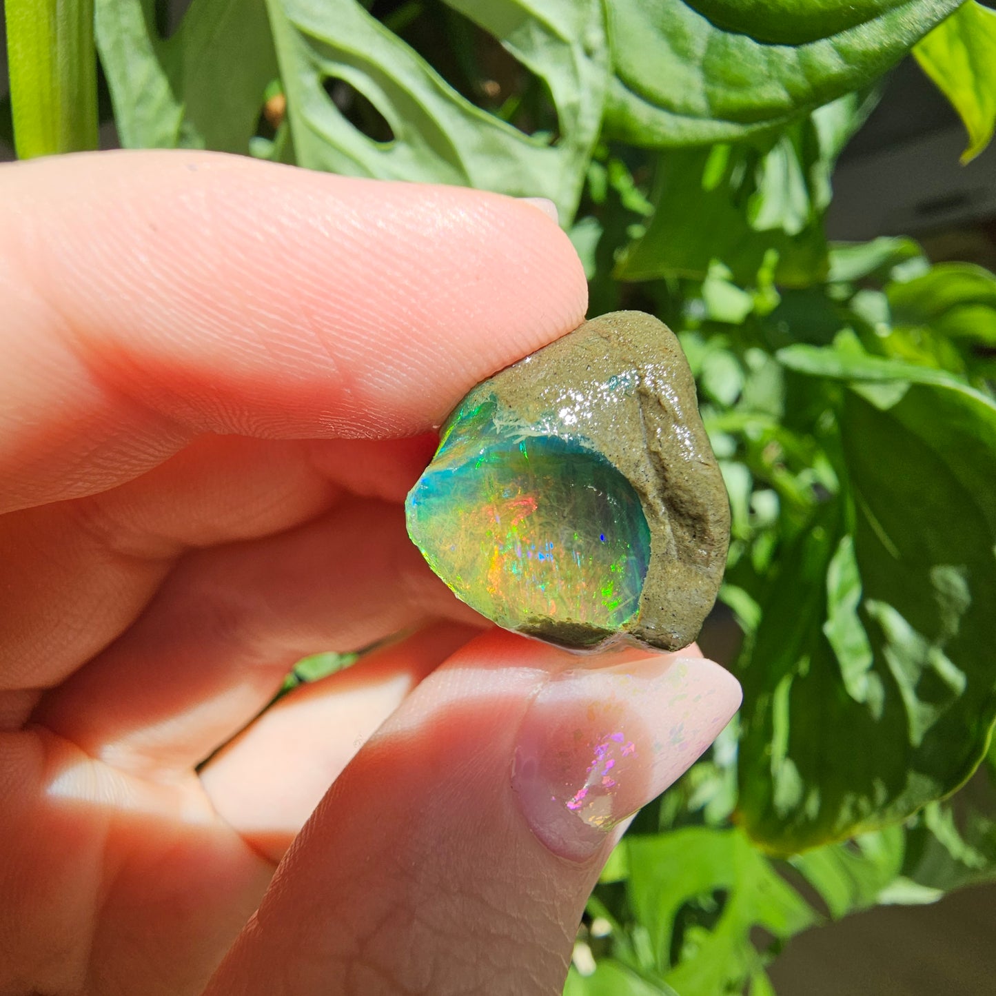 Äthiopischer Opal #49C