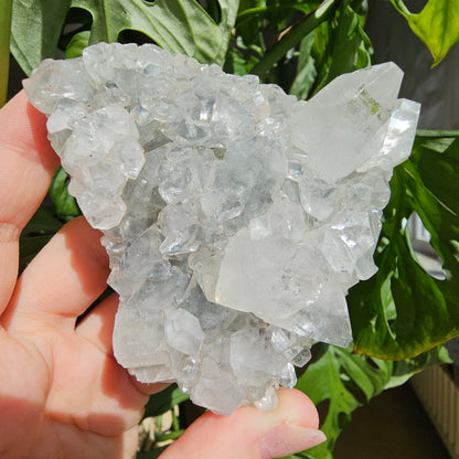 Apophyllite and Stilbite on Blue Chalcedony #55F