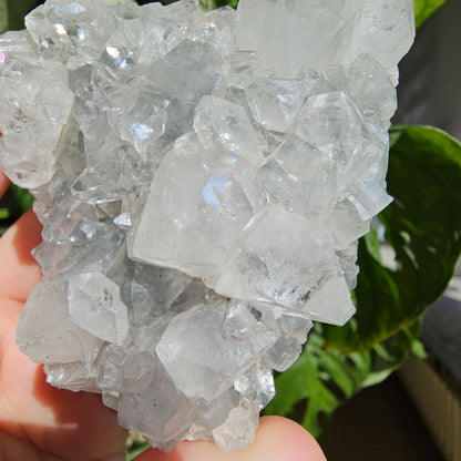 Apophyllite and Stilbite on Blue Chalcedony #55F