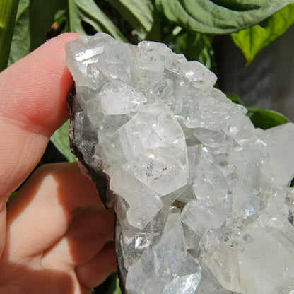 Apophyllite and Stilbite on Blue Chalcedony #55F