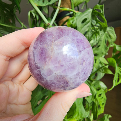 Amethyst with Crazy Lace Agate Sphere #29G