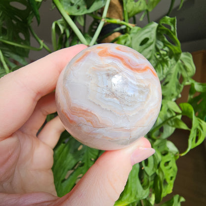 Amethyst with Crazy Lace Agate Sphere #29G