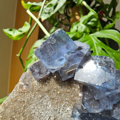 Blue Fluorite with Boulangerite/Jamesonite Inclusions #265A