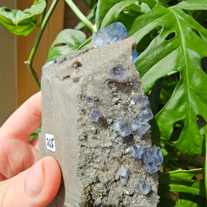 Blue Fluorite with Boulangerite/Jamesonite Inclusions #265A