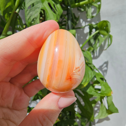 Carnelian Egg #14N