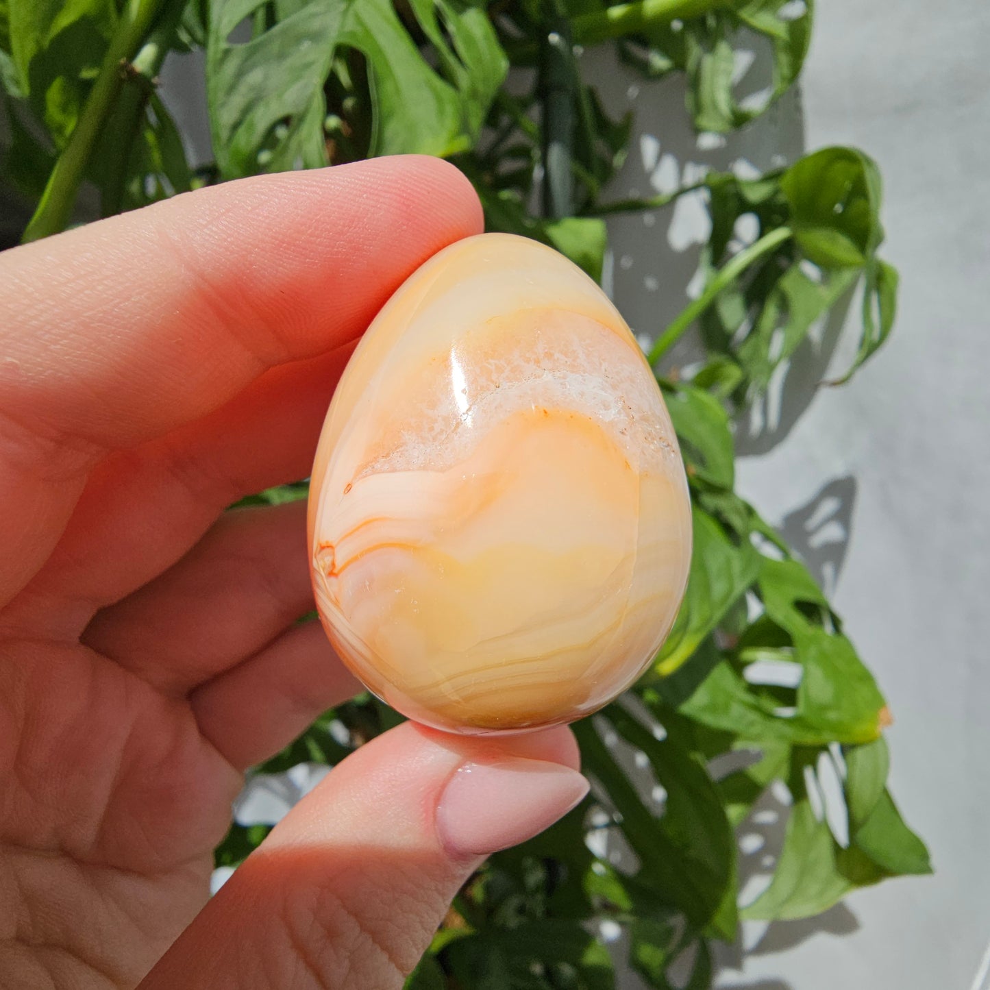 Carnelian Egg #14N