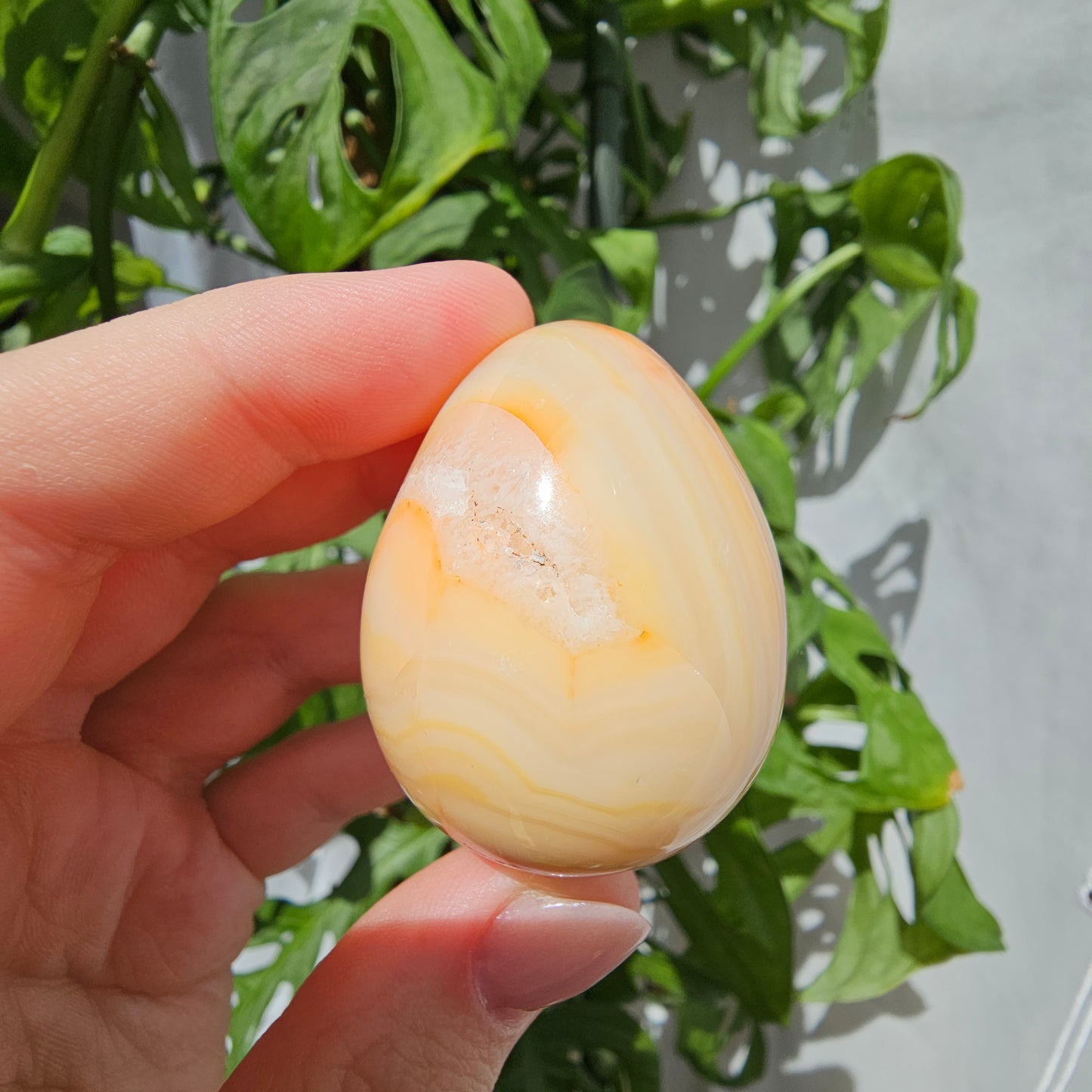 Carnelian Egg #14N