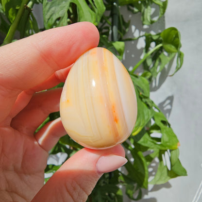 Carnelian Egg #14N