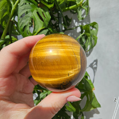 Tiger's Eye Sphere #55B