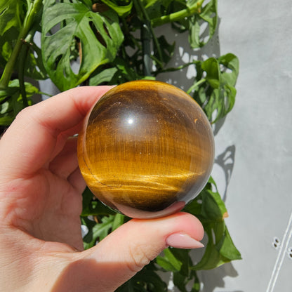 Tiger's Eye Sphere #55B