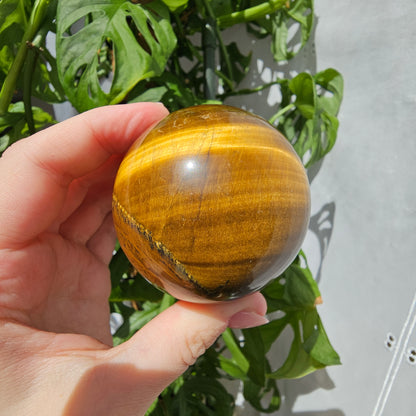 Tiger's Eye Sphere #55B