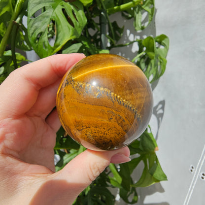 Tiger's Eye Sphere #55B