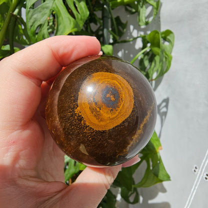 Tiger's Eye Sphere #55B