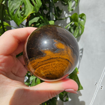 Tiger's Eye Sphere #55B