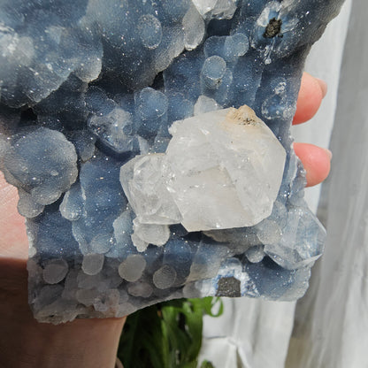 Apophyllite on Blue Chalcedony statement piece #2