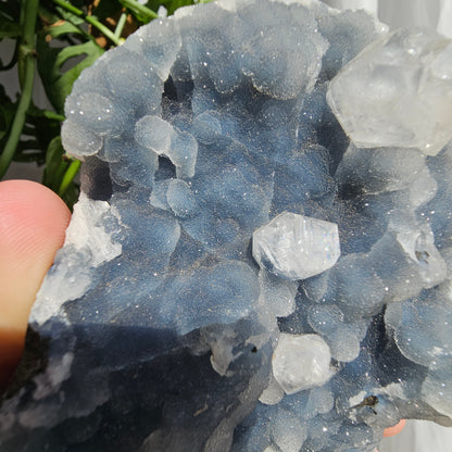 Apophyllite on Blue Chalcedony statement piece #2