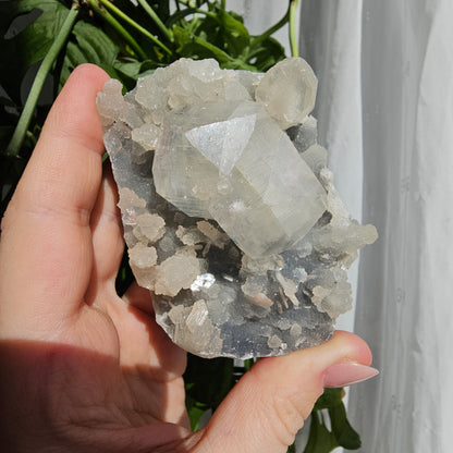 Apophyllite and Stilbite on Blue Chalcedony #79D