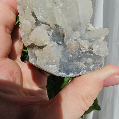 Apophyllite and Stilbite on Blue Chalcedony #79D