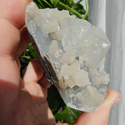 Apophyllite and Stilbite on Blue Chalcedony #79D