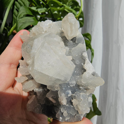 Apophyllite and Stilbite on Blue Chalcedony #79D