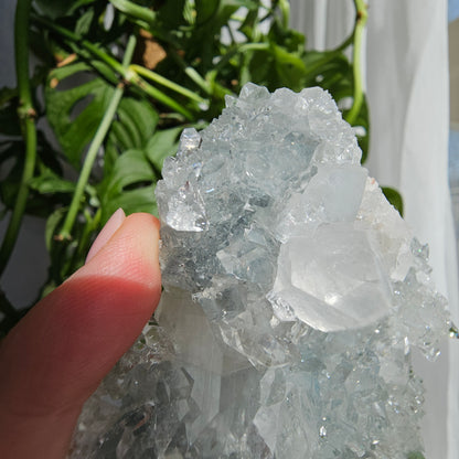 Apophyllite on Blue Chalcedony #F85