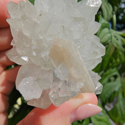 Sugar Apophyllite with Stilbite #55F