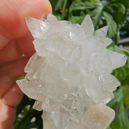 Sugar Apophyllite with Stilbite #55F