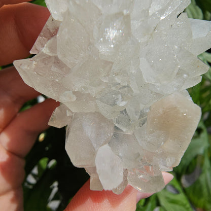 Sugar Apophyllite with Stilbite #55F